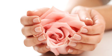 Blume Foto erstellt von Racool_studio - de.freepik.com